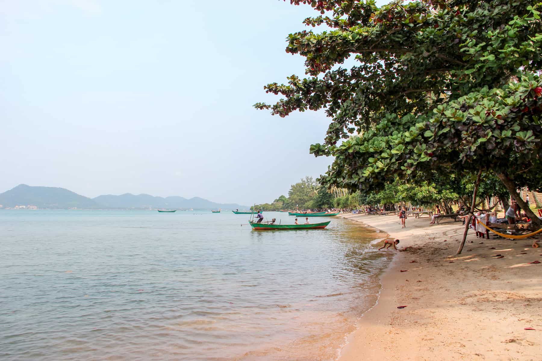 The end of the sandy coastline on an island, marked by the forest meeting the sea