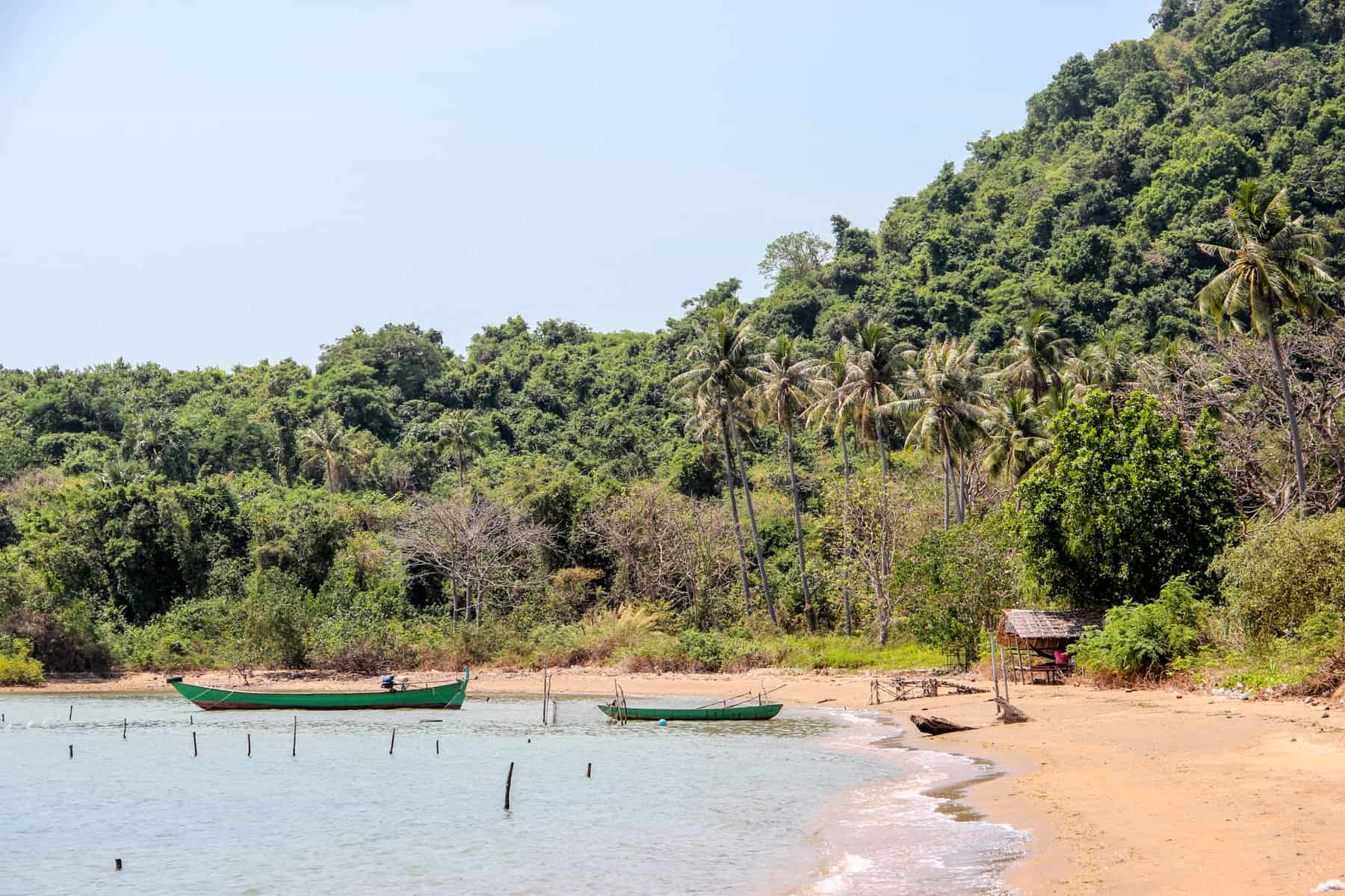 A long sandy, isolated beach on the fisherman's side of Rabbit Island curves to the left, backed by forest