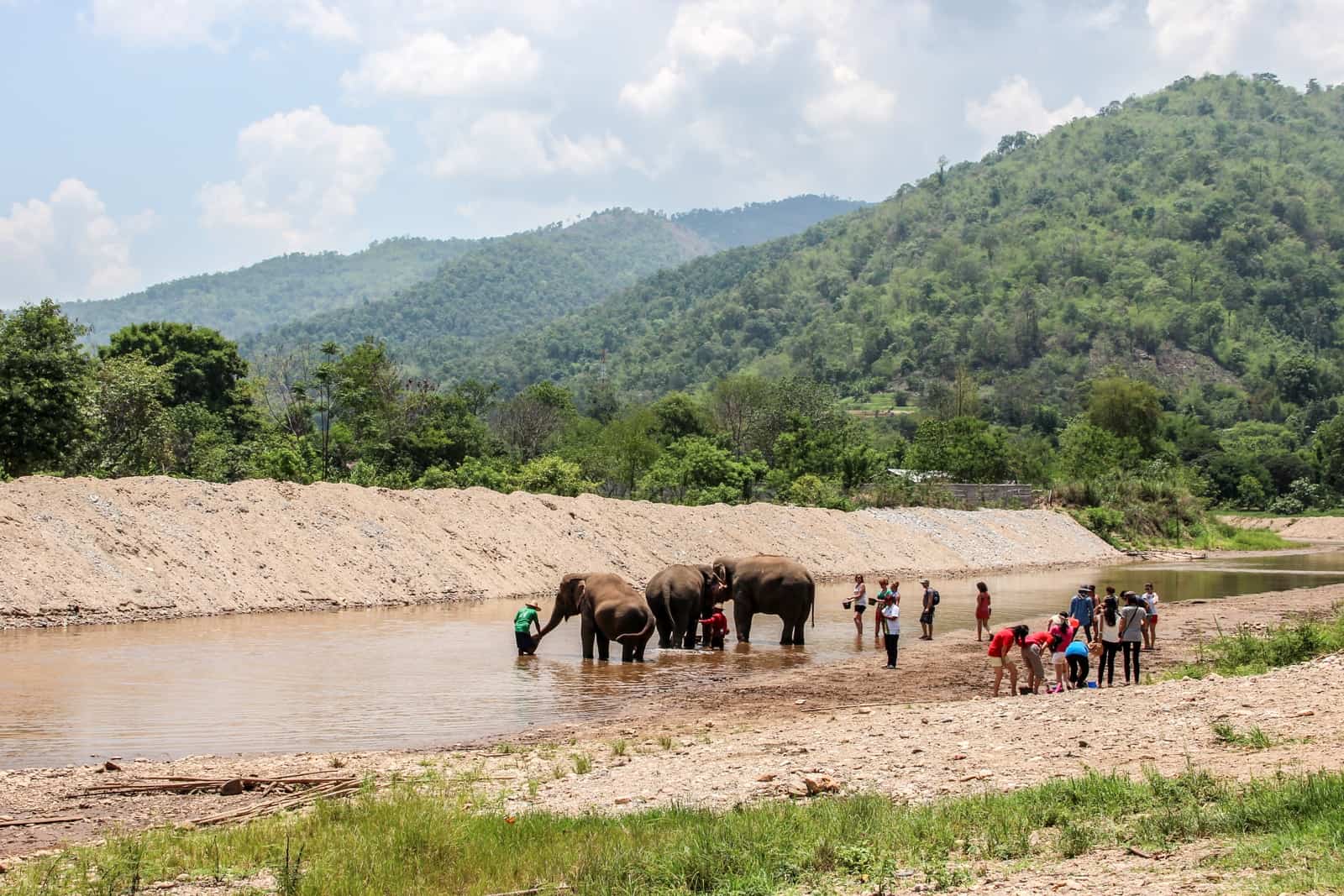 A group of tourists bathing elephants without riding them at the Elephant Nature Park in Chiang Mai, Thailand.