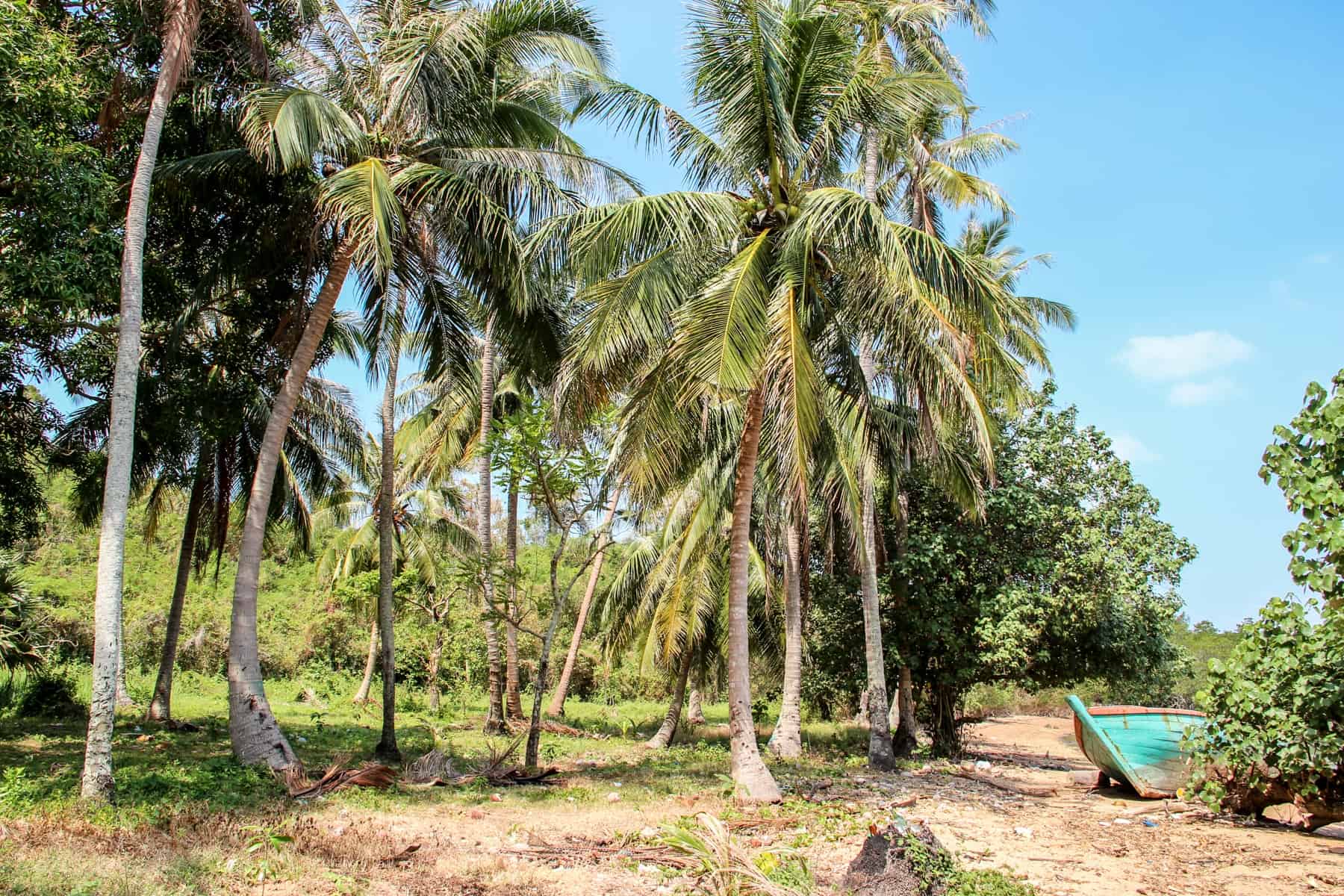 A open area in a forested area of an island, with an unused teal coloured boat on the land