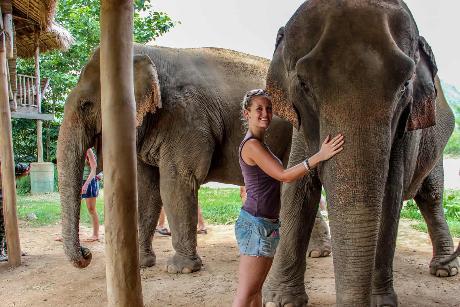 A visitor to Elephant Nature Park in Chiang Mai lovingly rubs an elephant on its truck. 