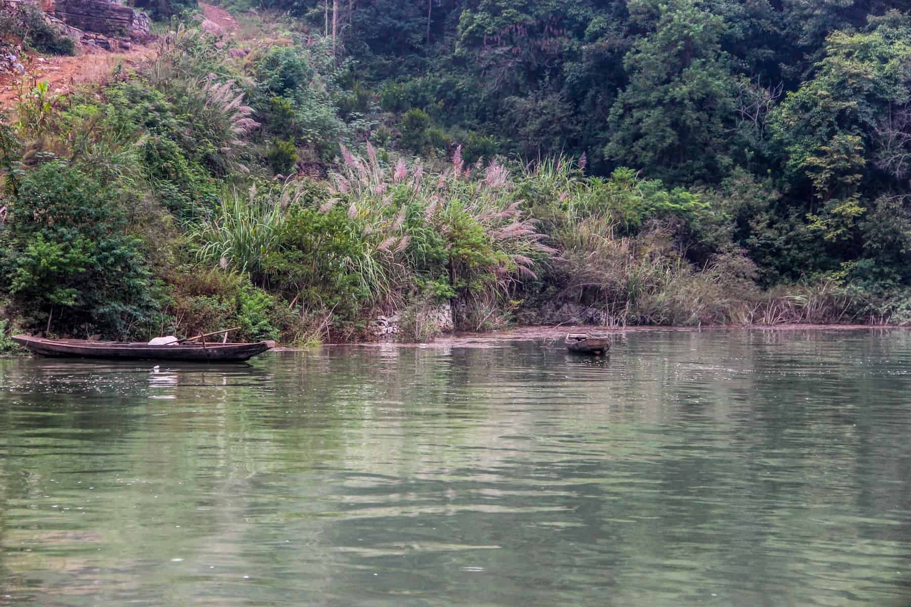 An empty boat floats on green water in front of a coastline filled with green and orange flora