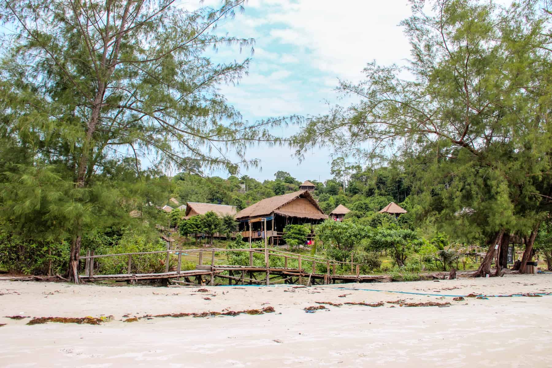 The roofs of tourist bungalows peak through thick green jungle foliage next to the white sand beach in Koh Rong Island Cambodia