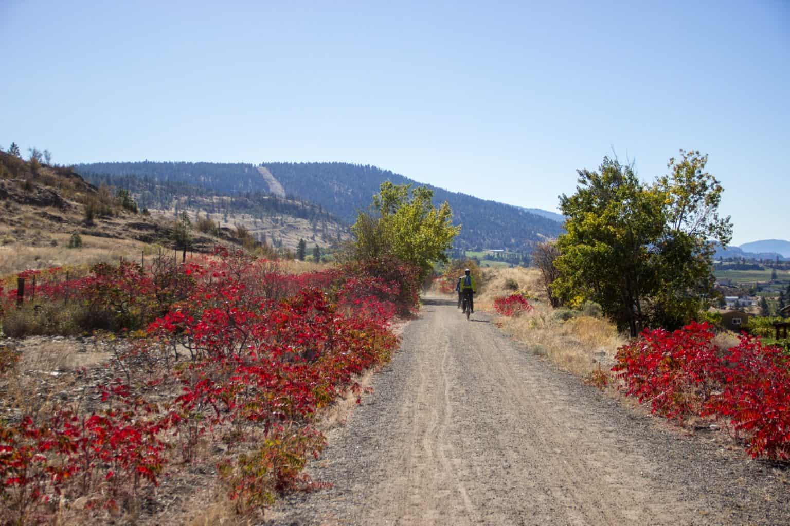 Journey to 1915 Cycling the Kettle Valley Railway Trail in Canada