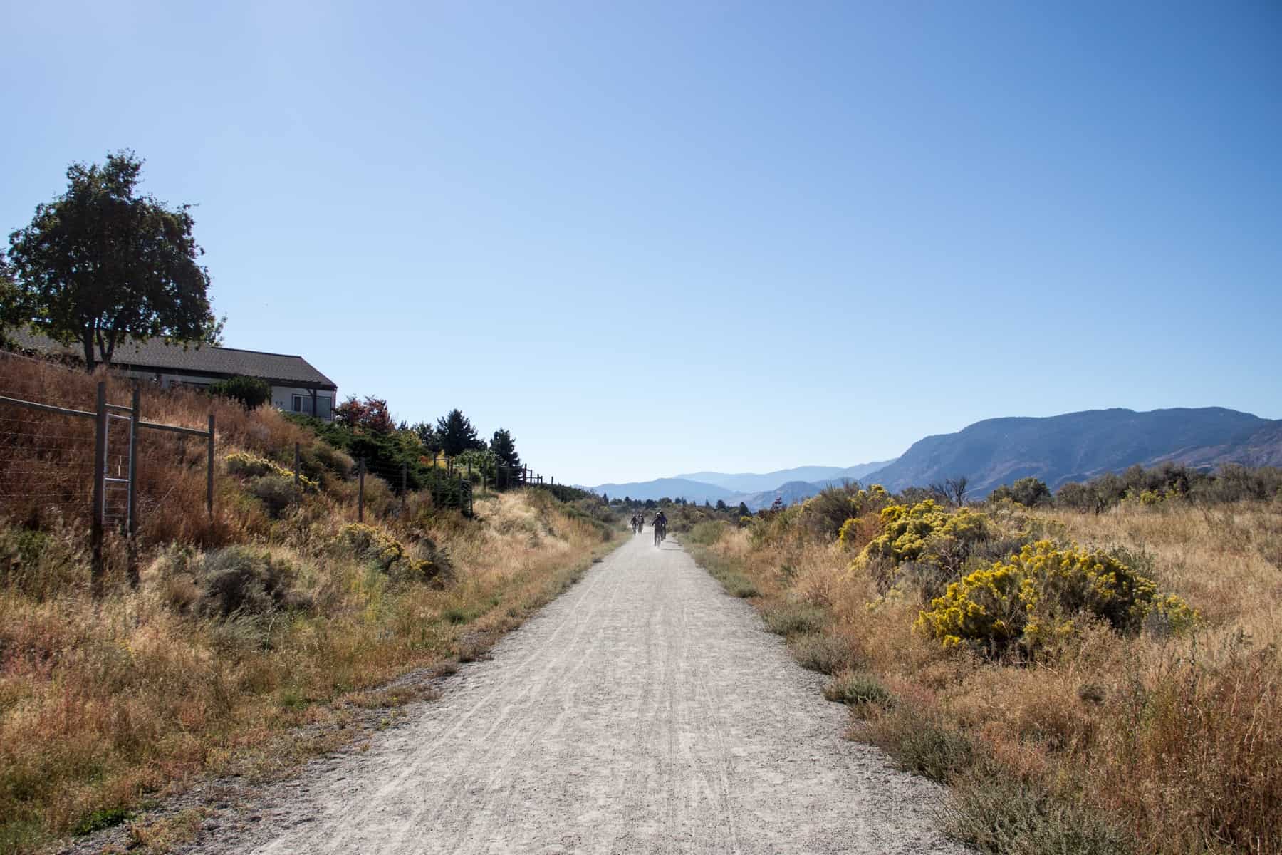 A group of people at the far end of a long gravel road that cuts through foliage, cycling the Kettle Valley Railway Trail.