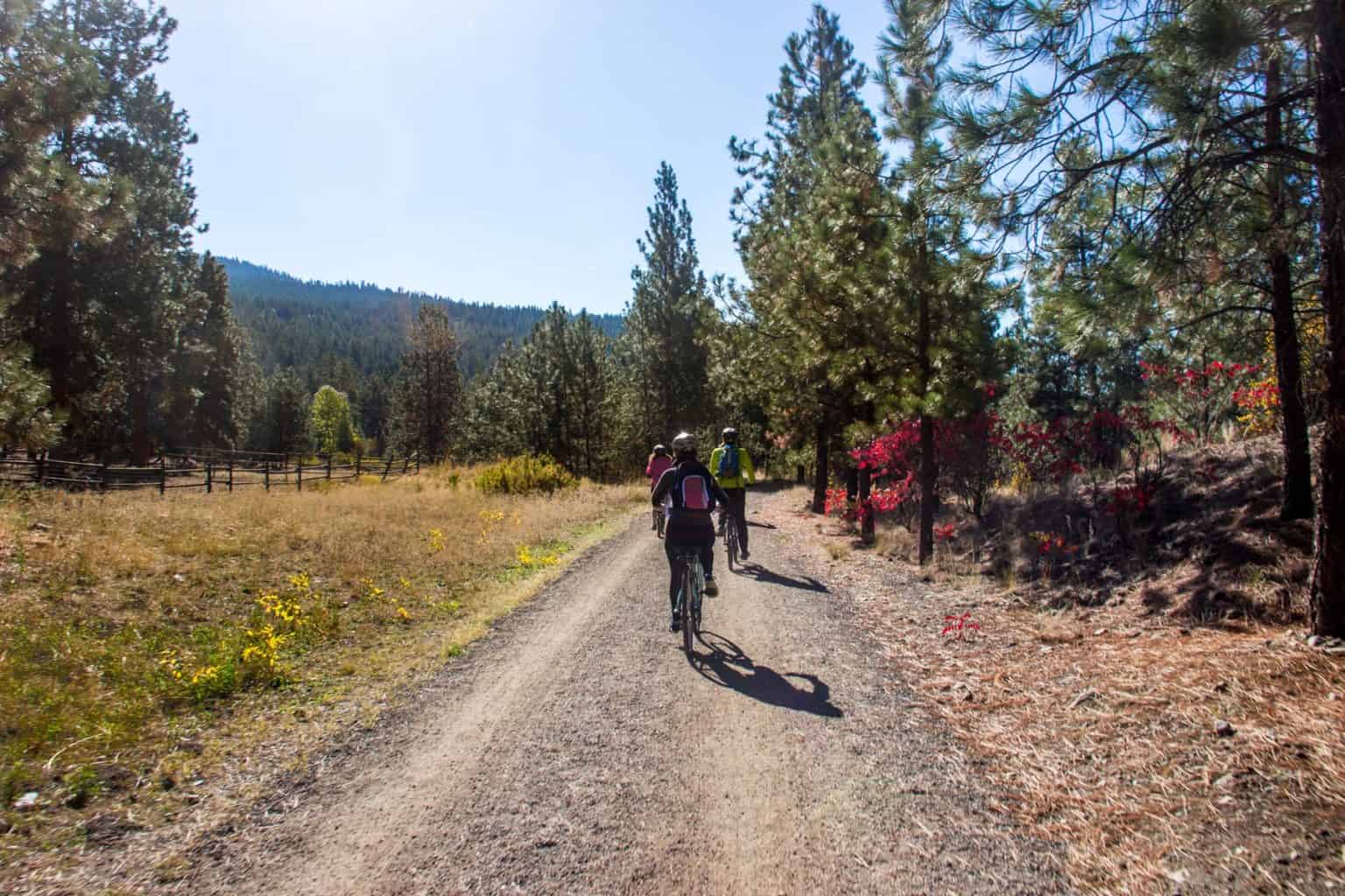 Journey to 1915 Cycling the Kettle Valley Railway Trail in Canada