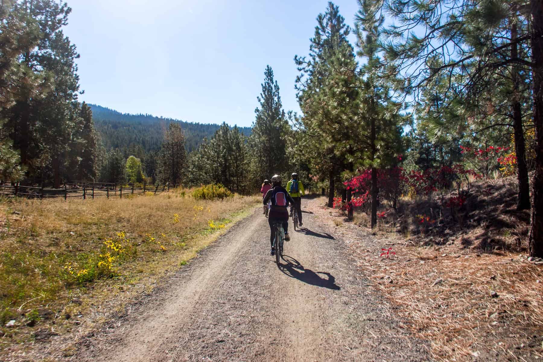 Cyclists on a flat gravel path passing through a forest with autumnal colours – part of the easy-grade route of the Kettle Valley Bike Trail.