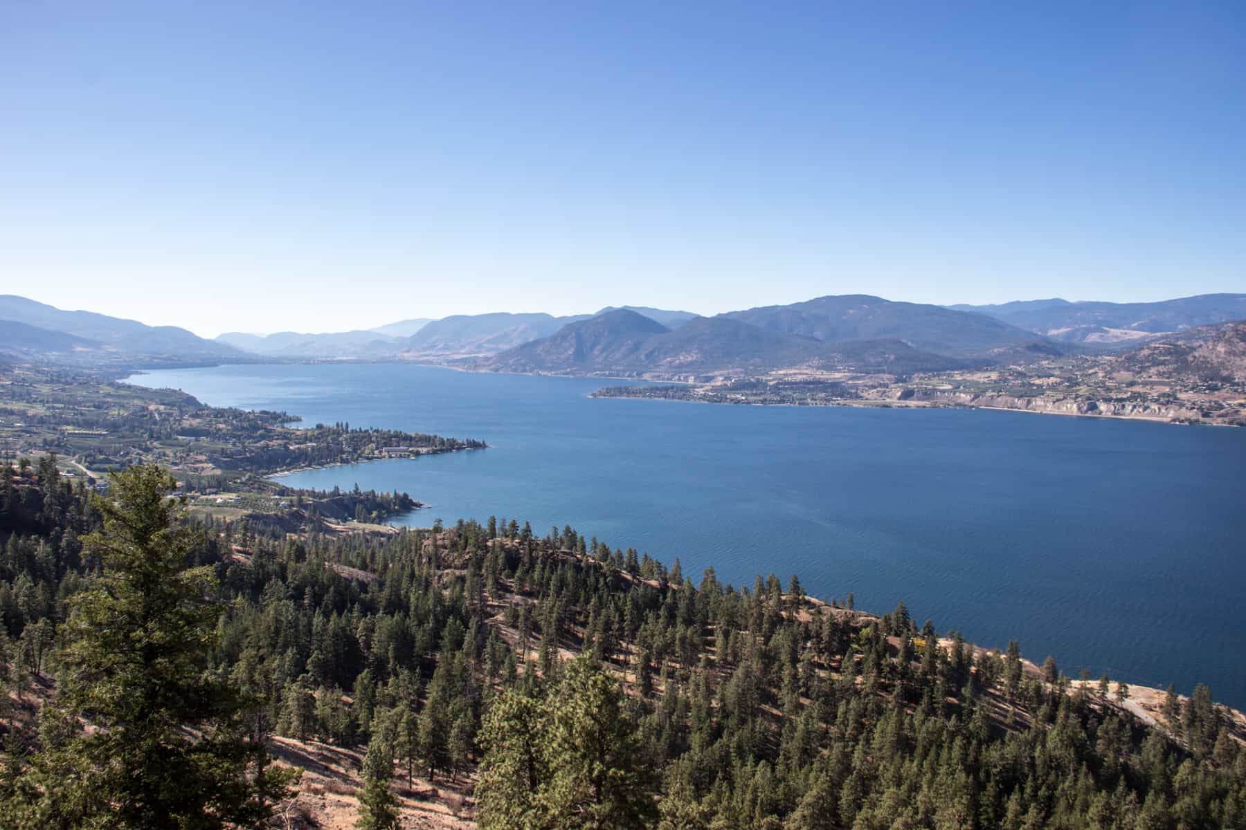 Elevated view of the hills and pine tree forests of the Kettle Valley surrounding the Kettle River.