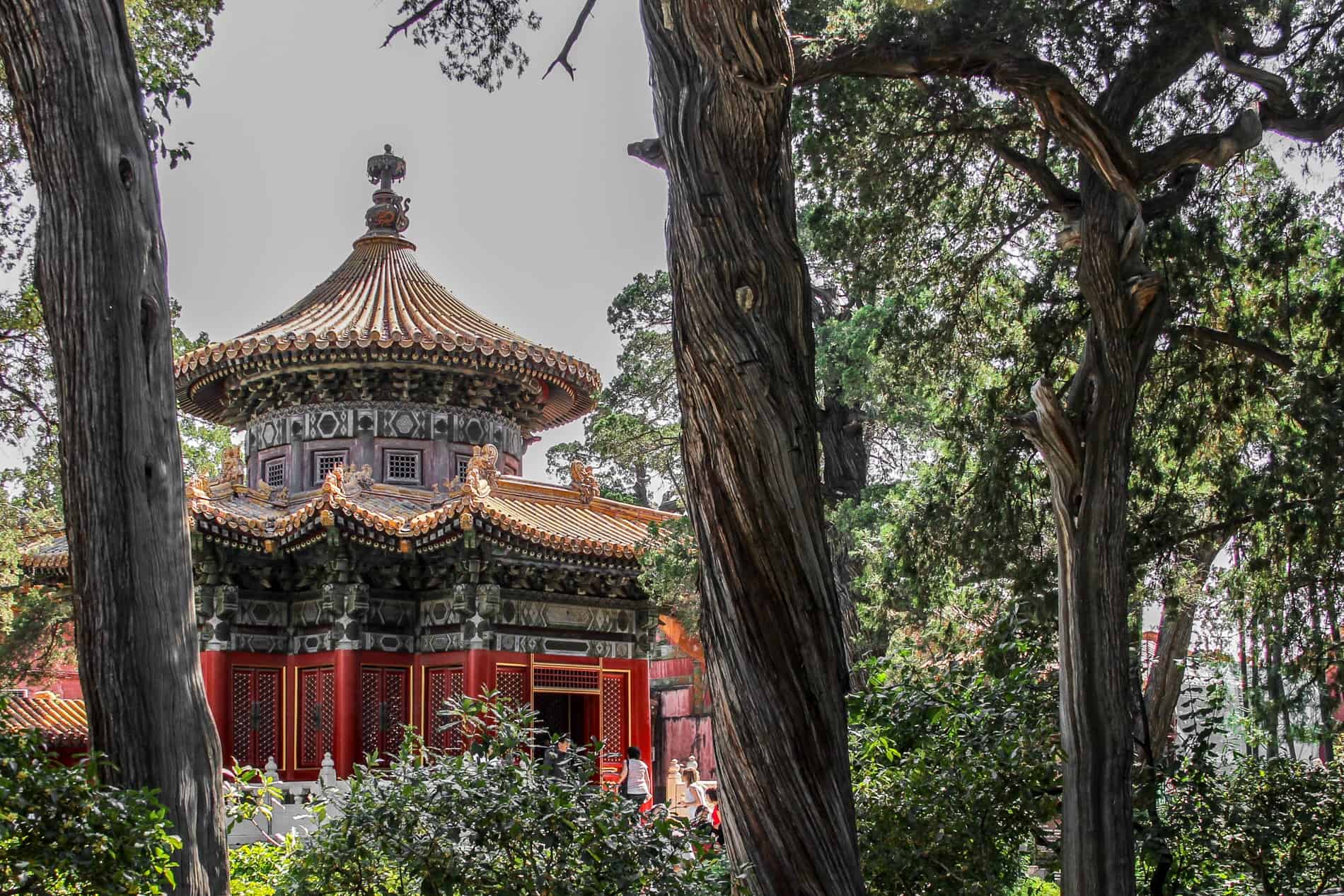 People entering the red, green and gold decorated Pavillion in the tree-filled imperial garden of the Forbidden City in Beijing. 