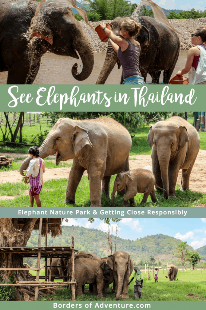 Three pictures of elephants in the wild at the Elephant Nature Park in Chiang Mai, Thailand