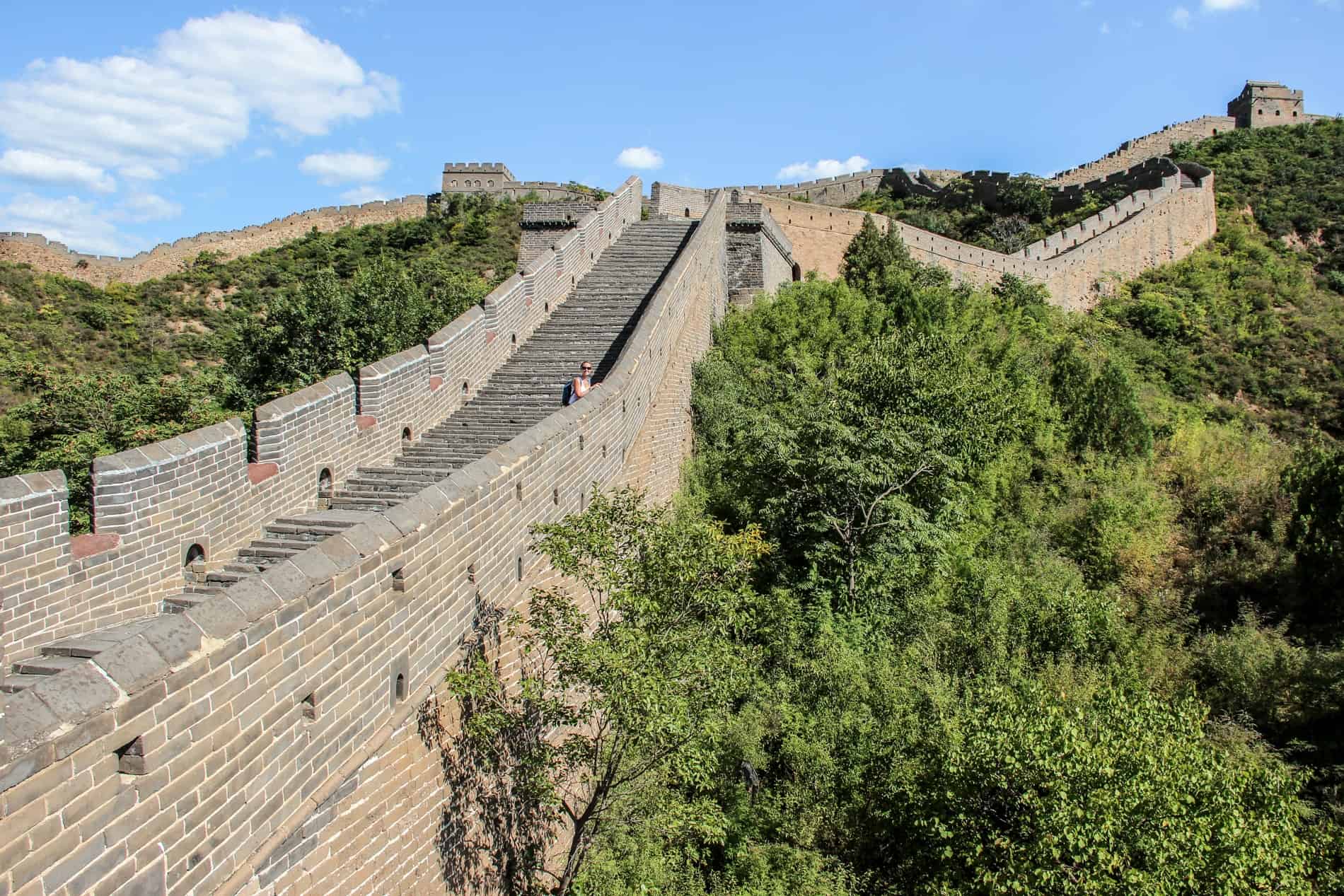 A woman stands on the steps of the Great Wall of China that ascends the forested hill. 