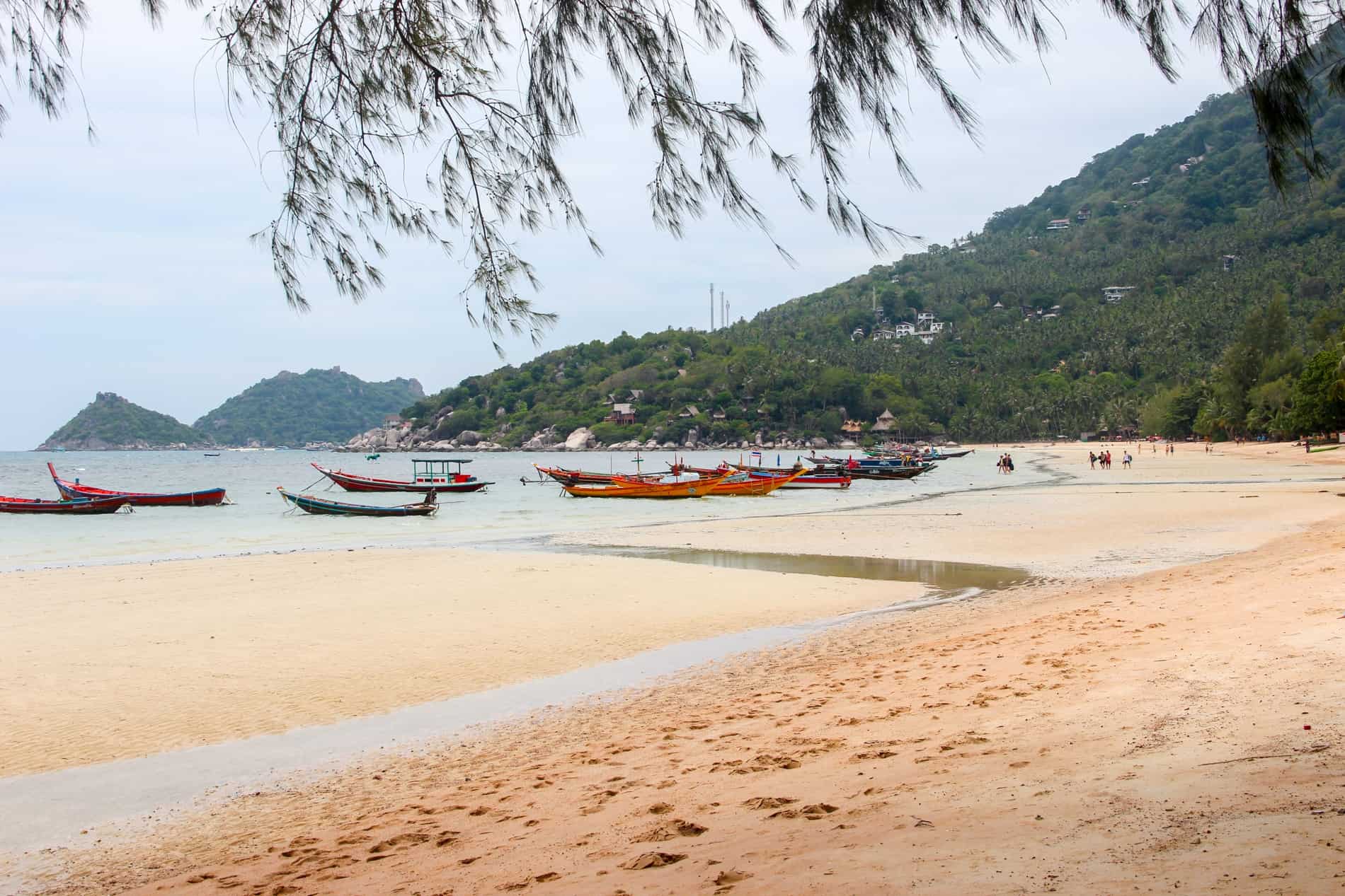 Boats on the coastline of the large yellow sand Sairee Beach on Koh Tao Island, Thailand. 
