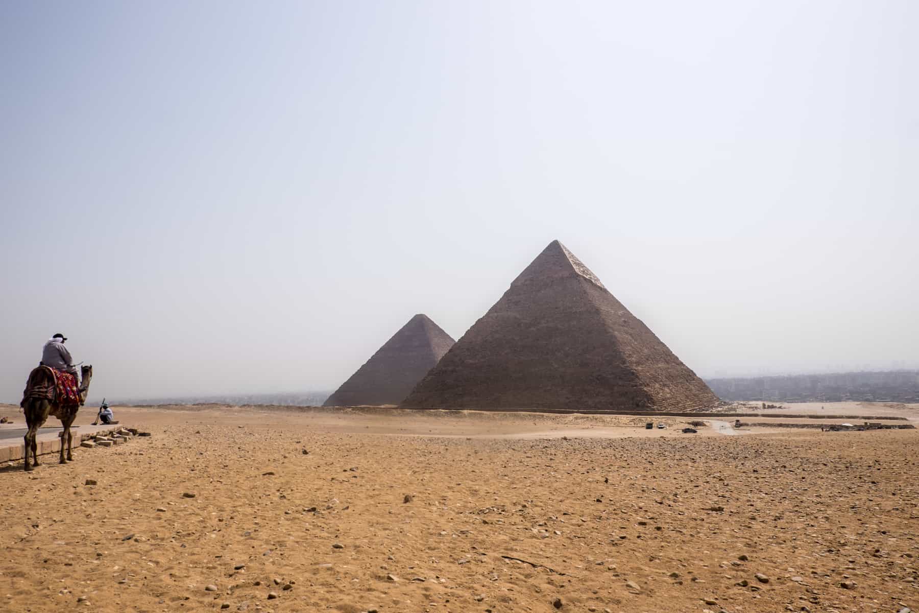 An Egyptian man rides a camel on desert sands with a view of the Pyramids of Egypt