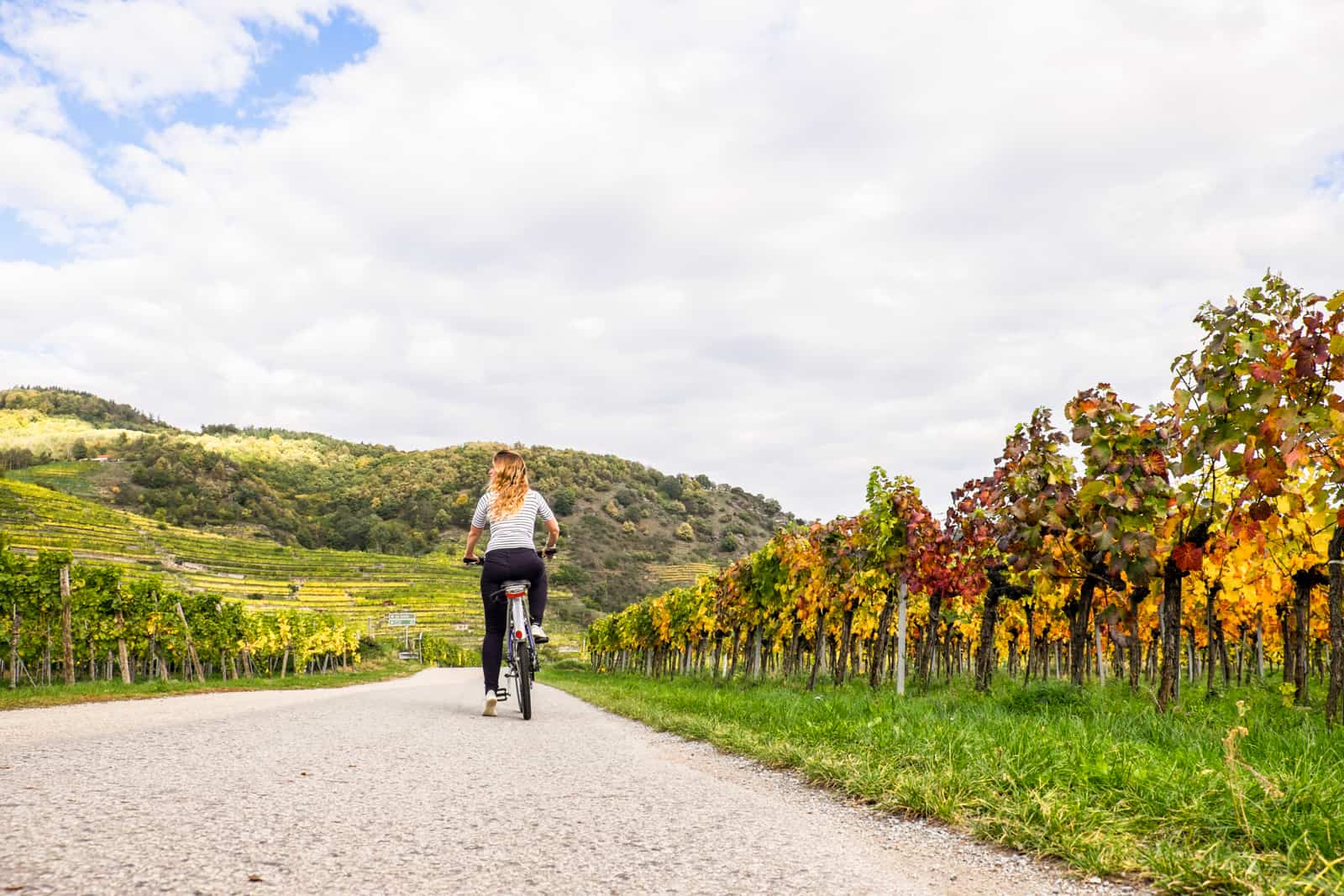A woman cycles down a paved path flanked by vibrant autumn vineyards and rolling, forested hills under a cloudy sky.
