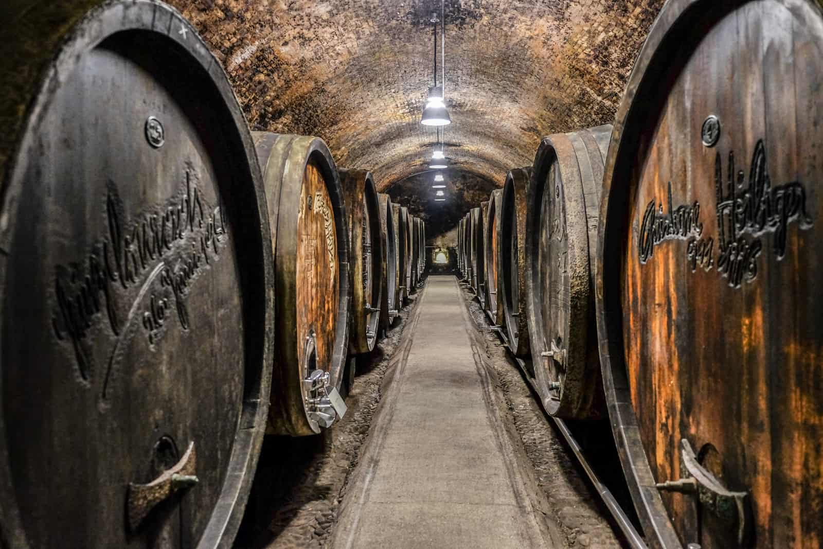 Rows of huge dark wood aged wine barrels line a dimly lit brick cellar in the Wachau in Austria