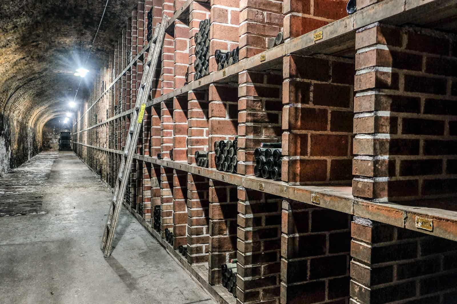 In a dimly lit stone cellar, modern brick shelving holds bottles of wine and a wooden ladder leans on the higher shelves