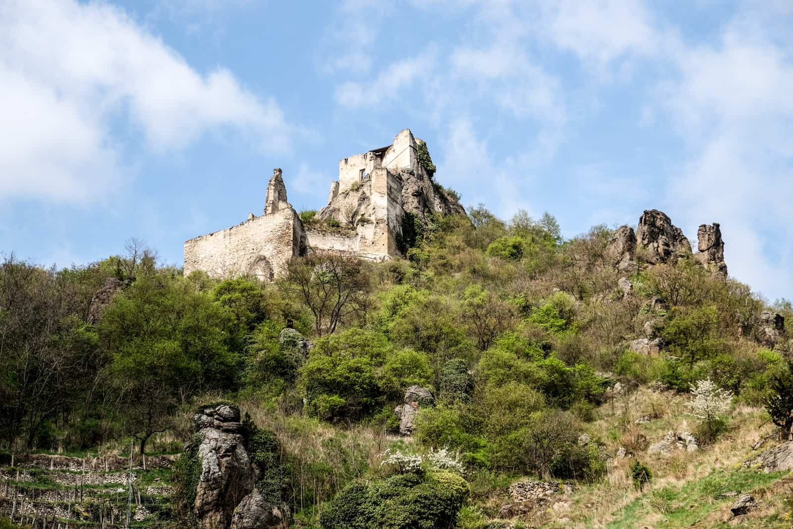 The crumbling stones of The Ruins of D�rnstein Castle in the Wachau Valley poking out of grass and trees