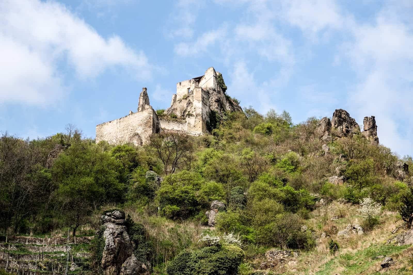 The crumbling stones of The Ruins of Dürnstein Castle in the Wachau Valley poking out of grass and trees