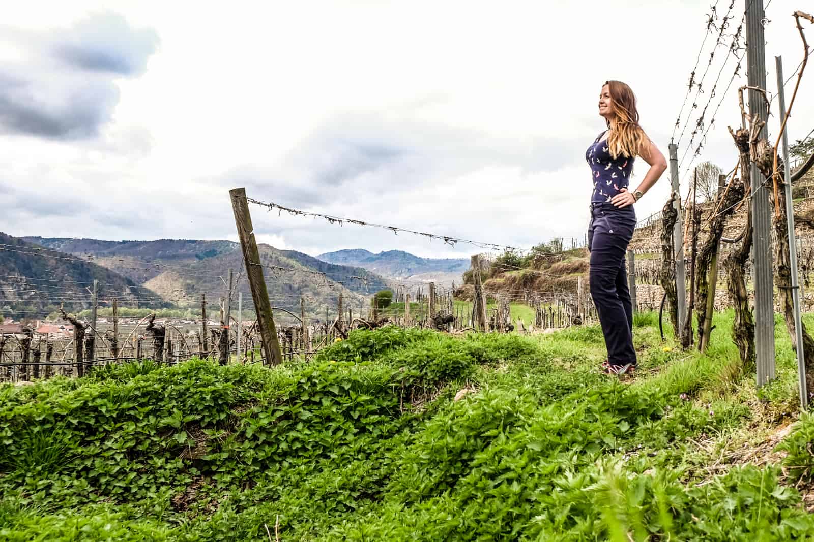 A woman in navy blue clothing standing on a green grass terrace of a vineyard in Austria, next to empty vine lines