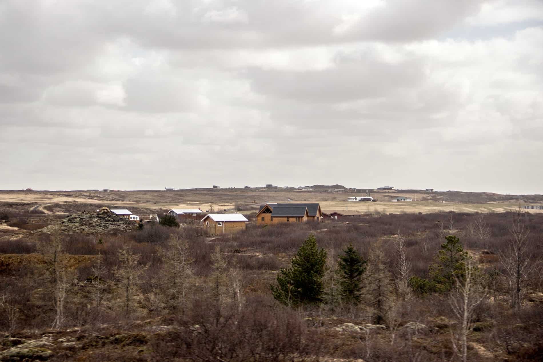 A small cluster of houses in a forested, rural area of Iceland. 