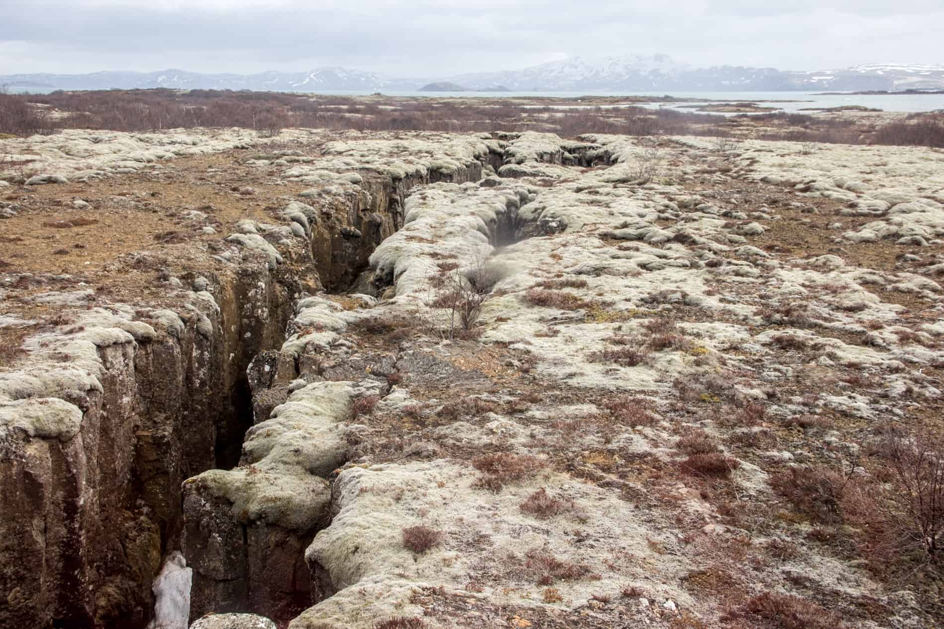 A split of tectonic plates on the rocky surface of Pingvellie National Park in Iceland.