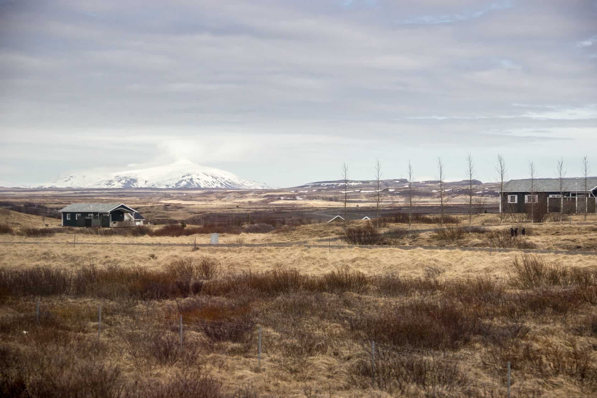 Two farm houses in desolate land in Iceland with a snowcapped mountain in the background.