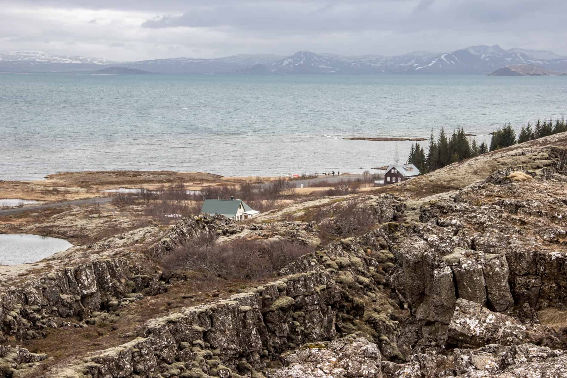 A rocky coastline in in Iceland with two houses and a pocket of trees. In the background is a long stretch of silver mountains. 