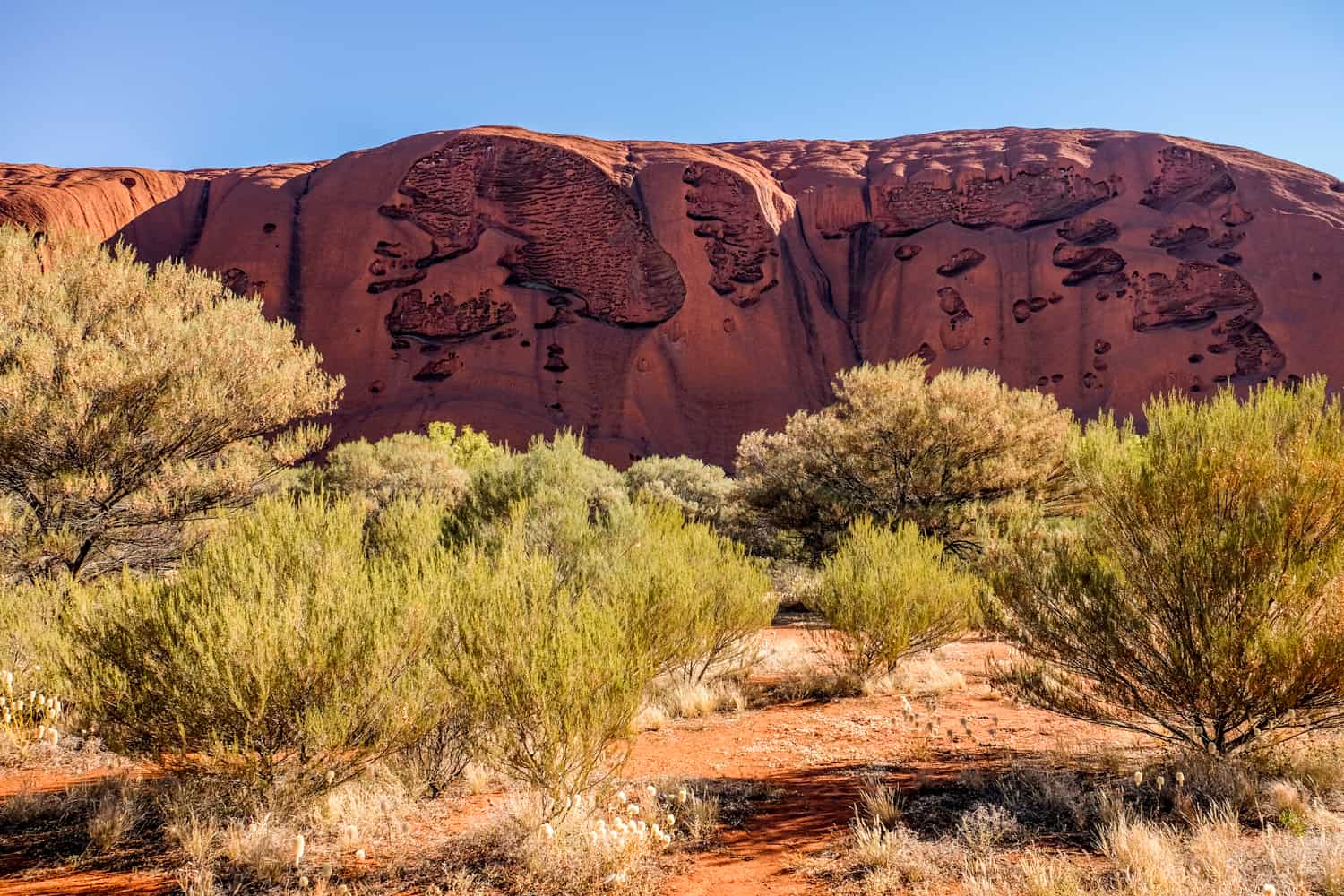 The ochre red giant rock formation of Uluru, as seen from the Base Walk in Uluru National Park. 