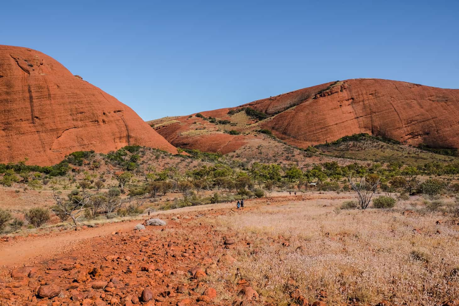 People hiking in orange rocked Kata Tjuta National Park in the Northern Territory Australia. 