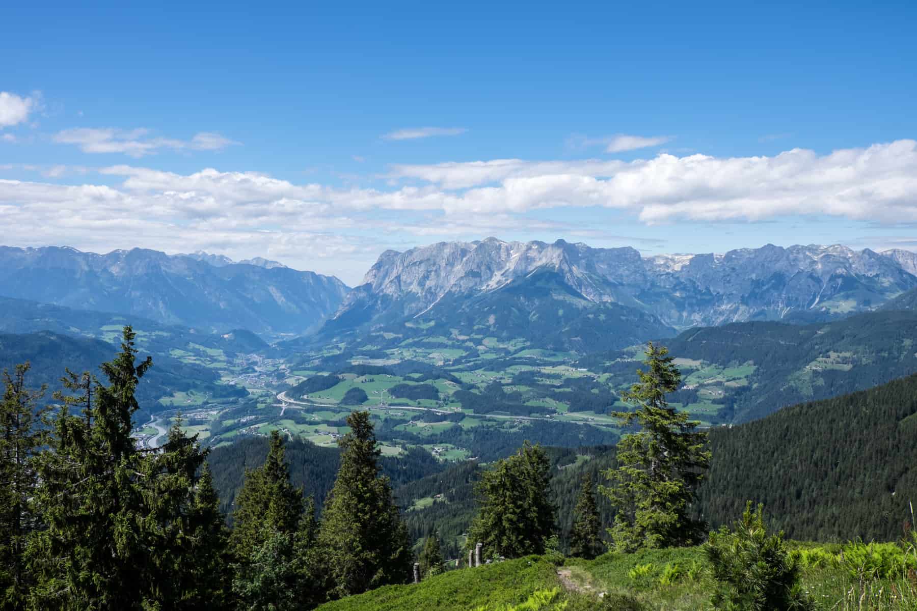 Snow-capped flat-top mountains rise above a wide green valley, seen from a forested viewpoint on Hochgründeck, Austria
