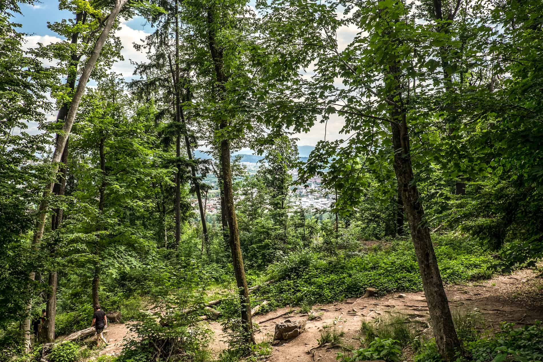 View of Ljubljana city through the trees while climbing Smarna Gora hill. 