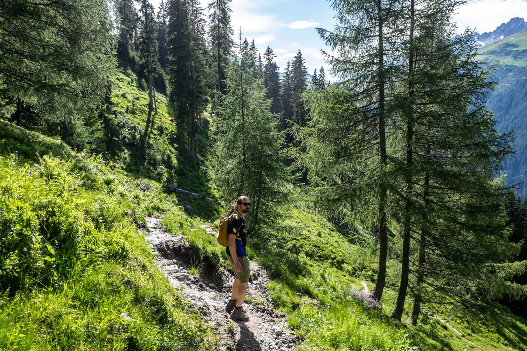 A man stands on a hiking trail in St. Anton surrounded by green grassland and a forest of tall, thin trees