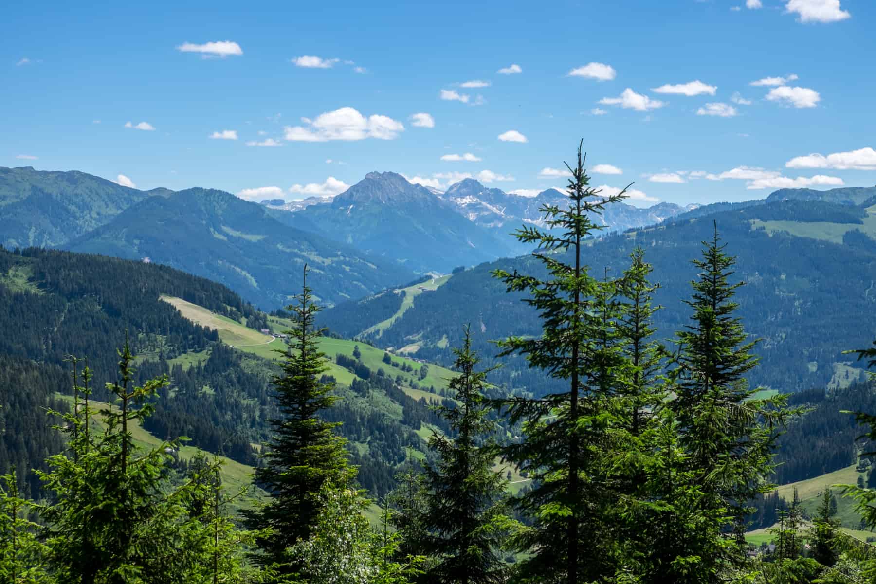 Rolling green hills merge with the blue tint of the mountains, as seen from the Hochgründeck hike in St. Johann im Pongau in summer