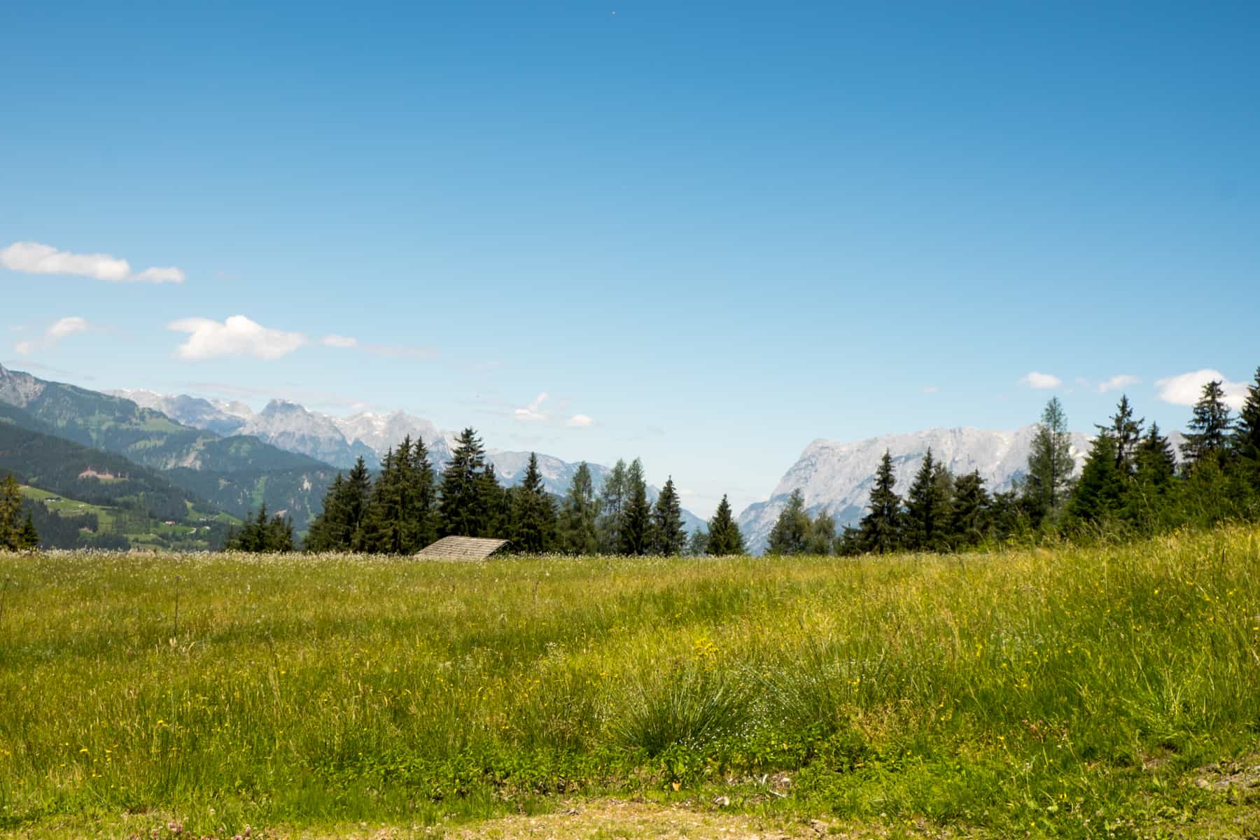 The green pastures on the Austrian alpine in St. Johann im Pongau in Summer, with the Austrian Alps in the background