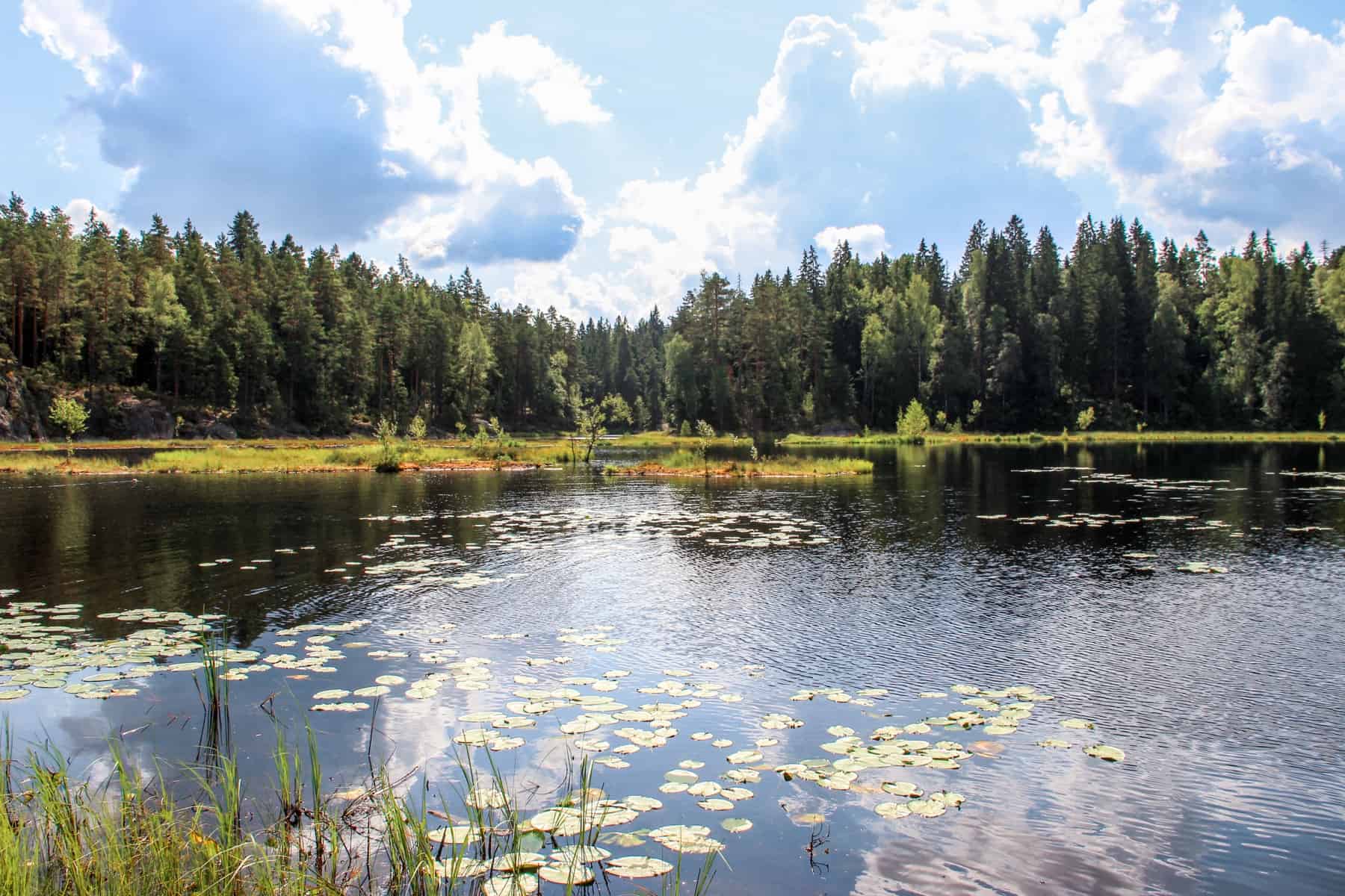 The still lake set within a dense forest in Nuuksio National Park in Finland, where the Everyman's Right law allows people to visit freely. 
