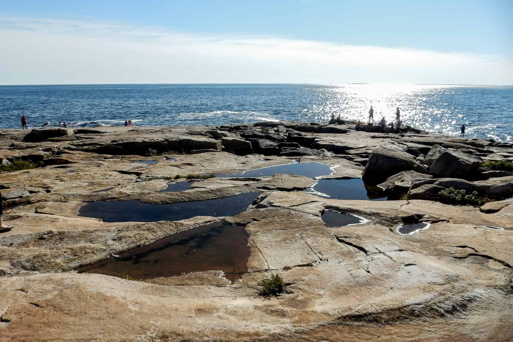 Schoodic Point in Acadia National Park where the pale taupe, rocky outcrop looks out to the ocean.