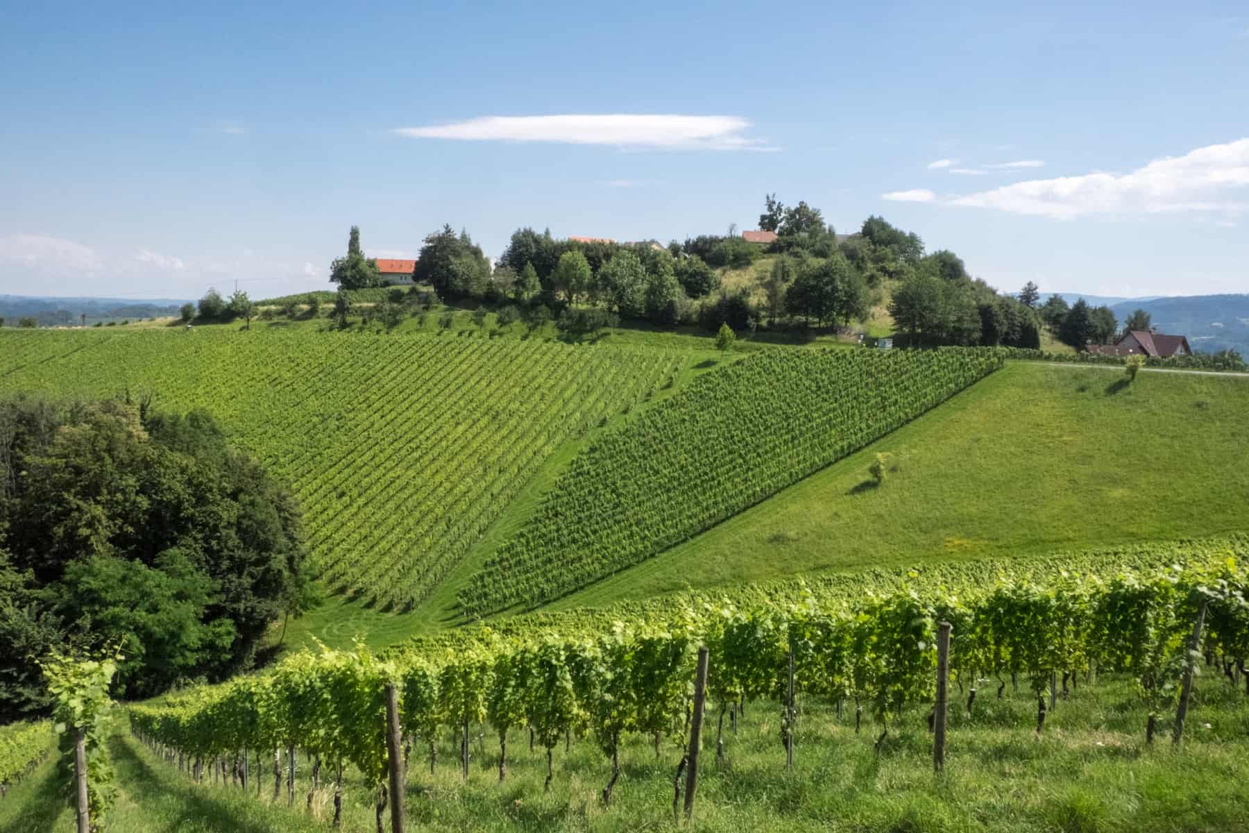 The hill valley walls lined with vine rows on the the South Styrian Wine Road
