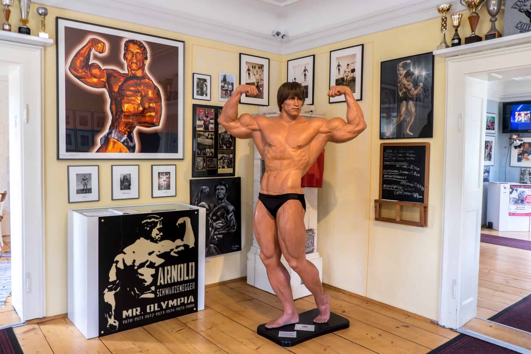 A lifesize Bodybuilder figure surrounded by wall pictures inside the Arnold Schwarzenegger Museum in Thal, Austria