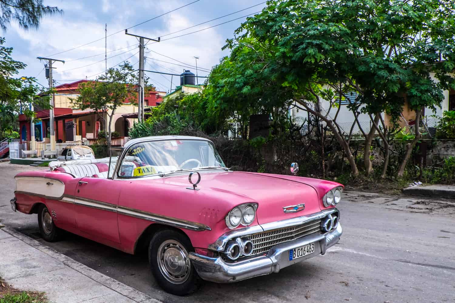 A pink classic Cuban car with a yellow taxi sign in the windshield, on a leafy street in Havana. 