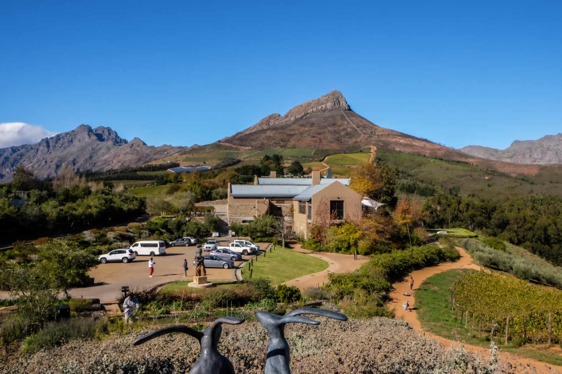 A beige house, surrounded by rounded green fields and orange dirt tracks sits in front of a jagged mountain peak range. It's home to the Estate of Tokara Vineyard in Stellenbosch 