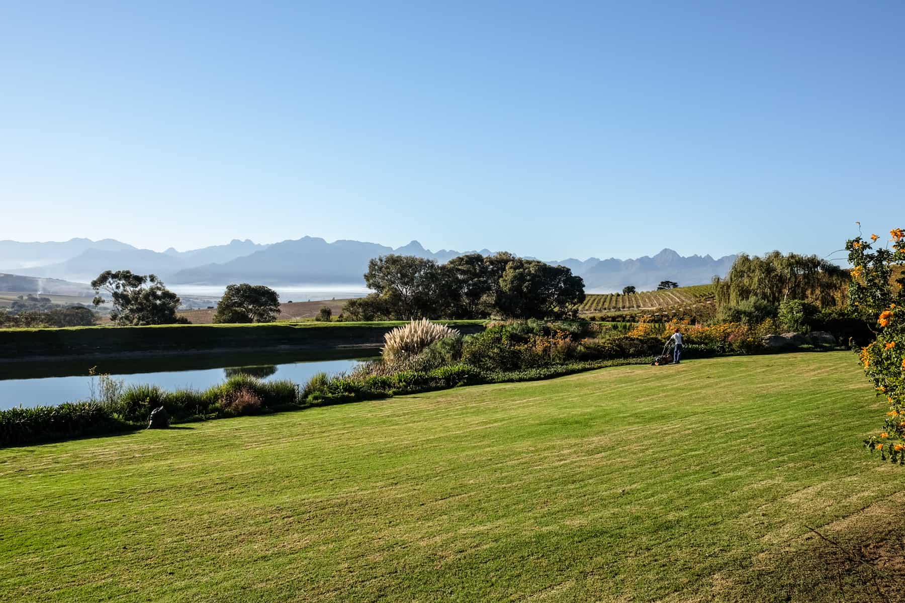 A man tends to the green lawn on the grounds of Jordan Wine Estate in Stellenbosch, which streches far into the distance behind the hedgerows, backed by mountains
