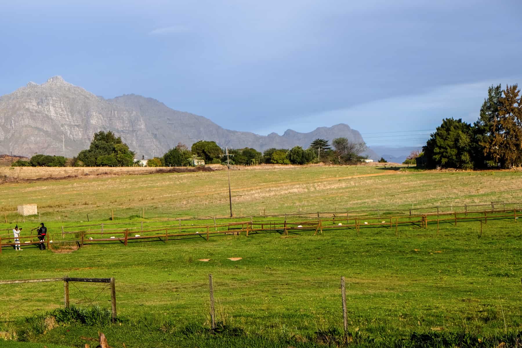 Two men on the left stand in the middle of a vast field of green and yellow, backed by a silver mountain peak