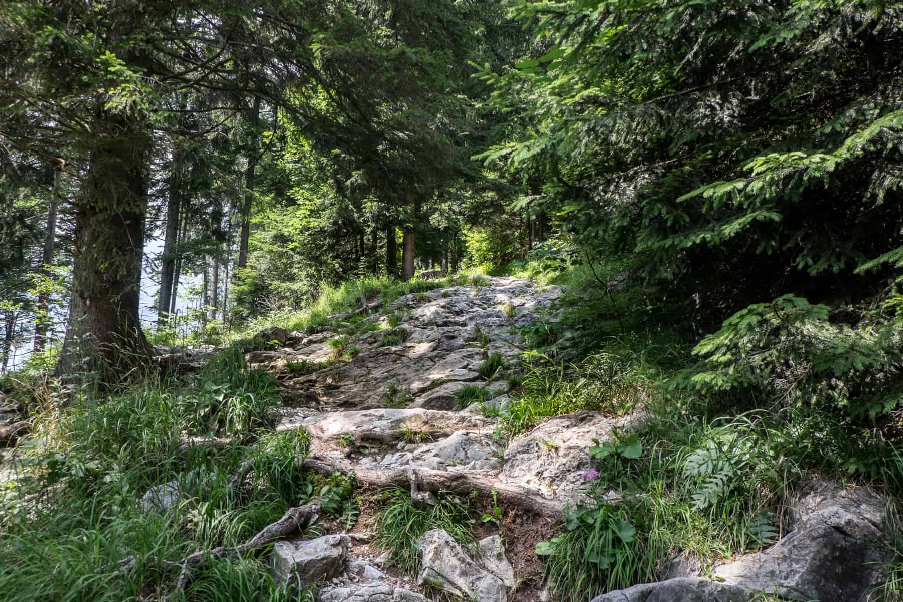 A steep rocky pathway that is part of the hike on the Schöckl Mountain, Graz