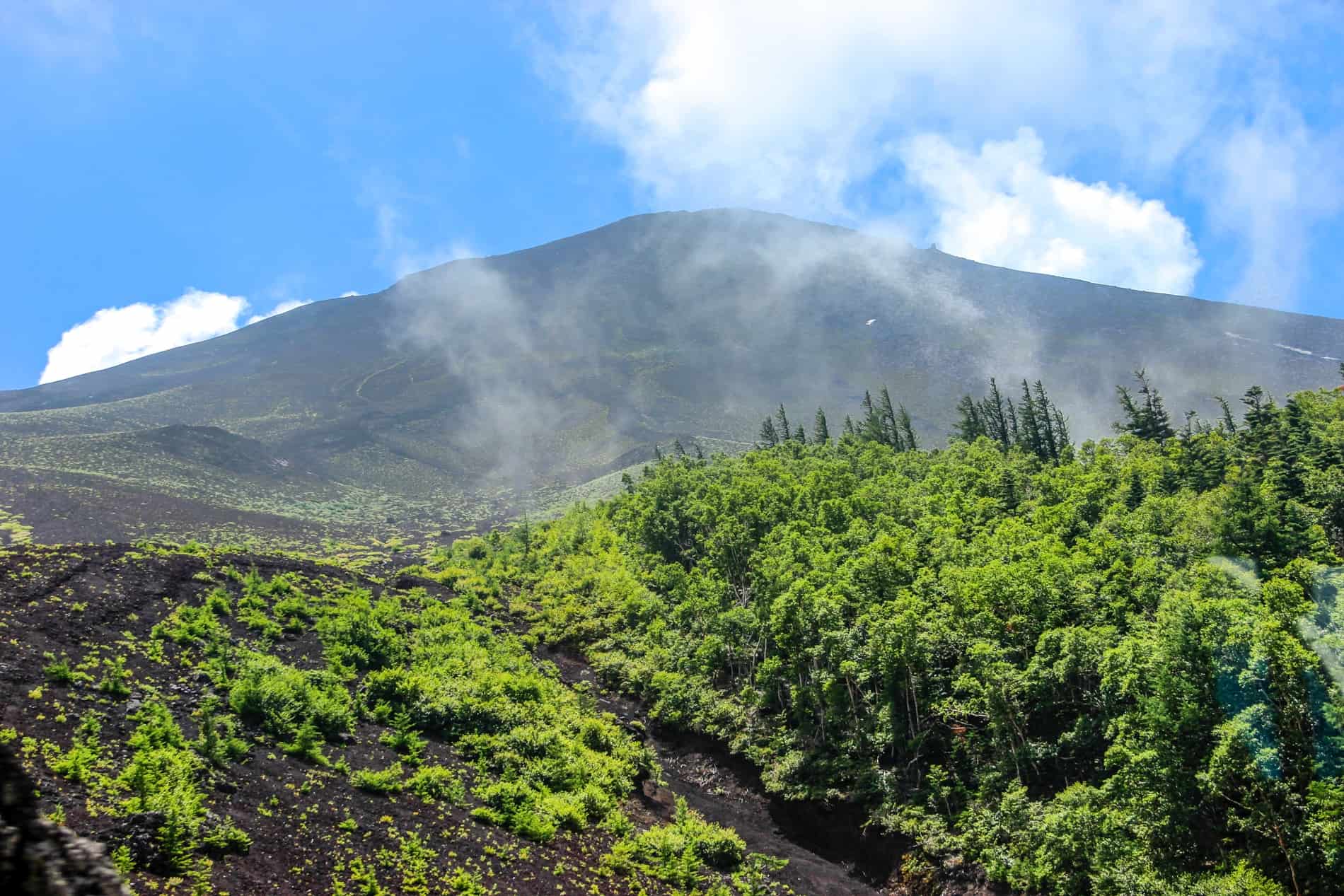 A view of Mount Fuji in Japan without its iconic snow peak and instead, covered in green shrubbery. 