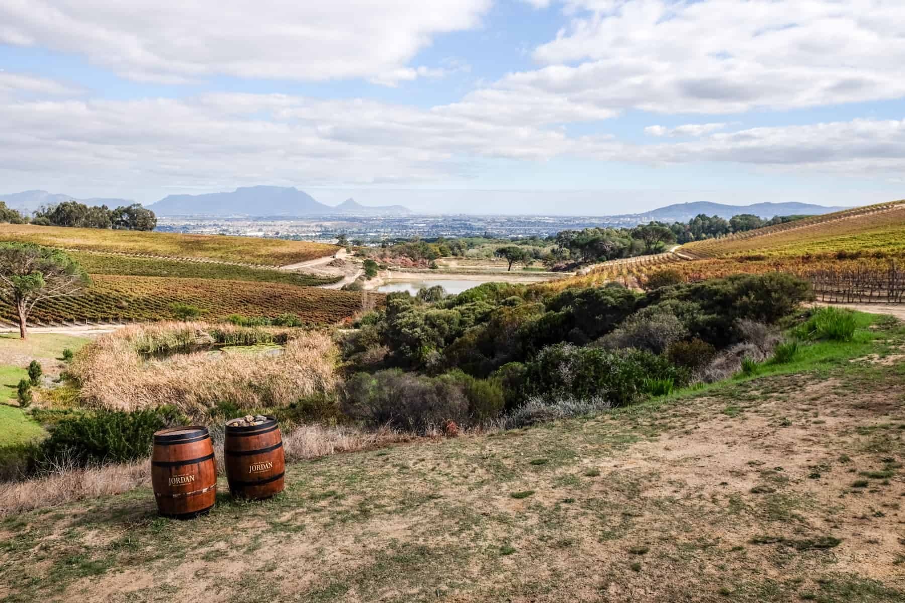 Two dark wooden barrels on the left, bearing the name of the Jordan Wine Estate in Stellenbosch stand alone on yellow-green slope with a bunch of green vine rows - part of a patchwork of yellow, orange and green fields that make up a vast vineyards area. 