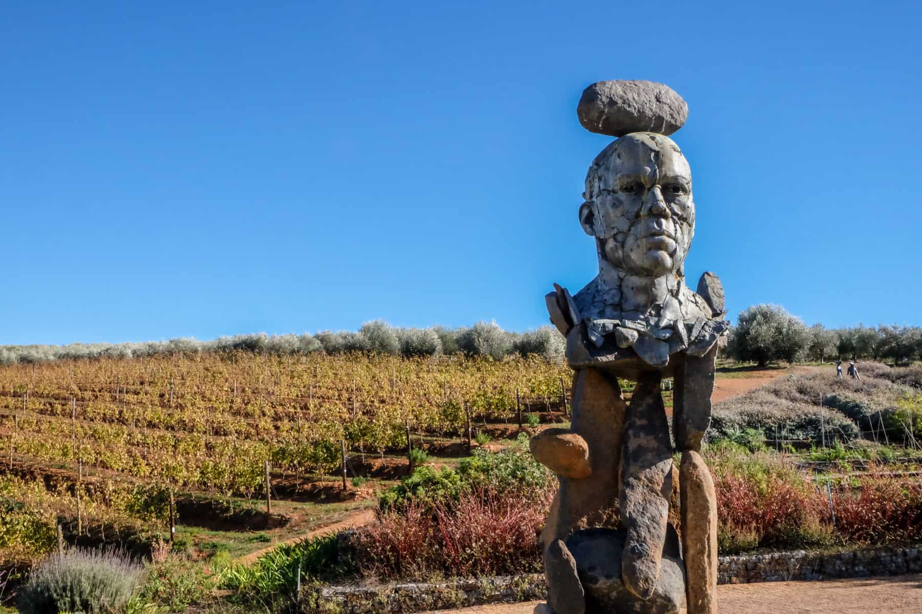 A stone statue of a male head sits on a structure of stones - an artistic sculpture backed by the golden rows of olive groves and a bright blue sky at Tokara Vineyard in Stellenbosch