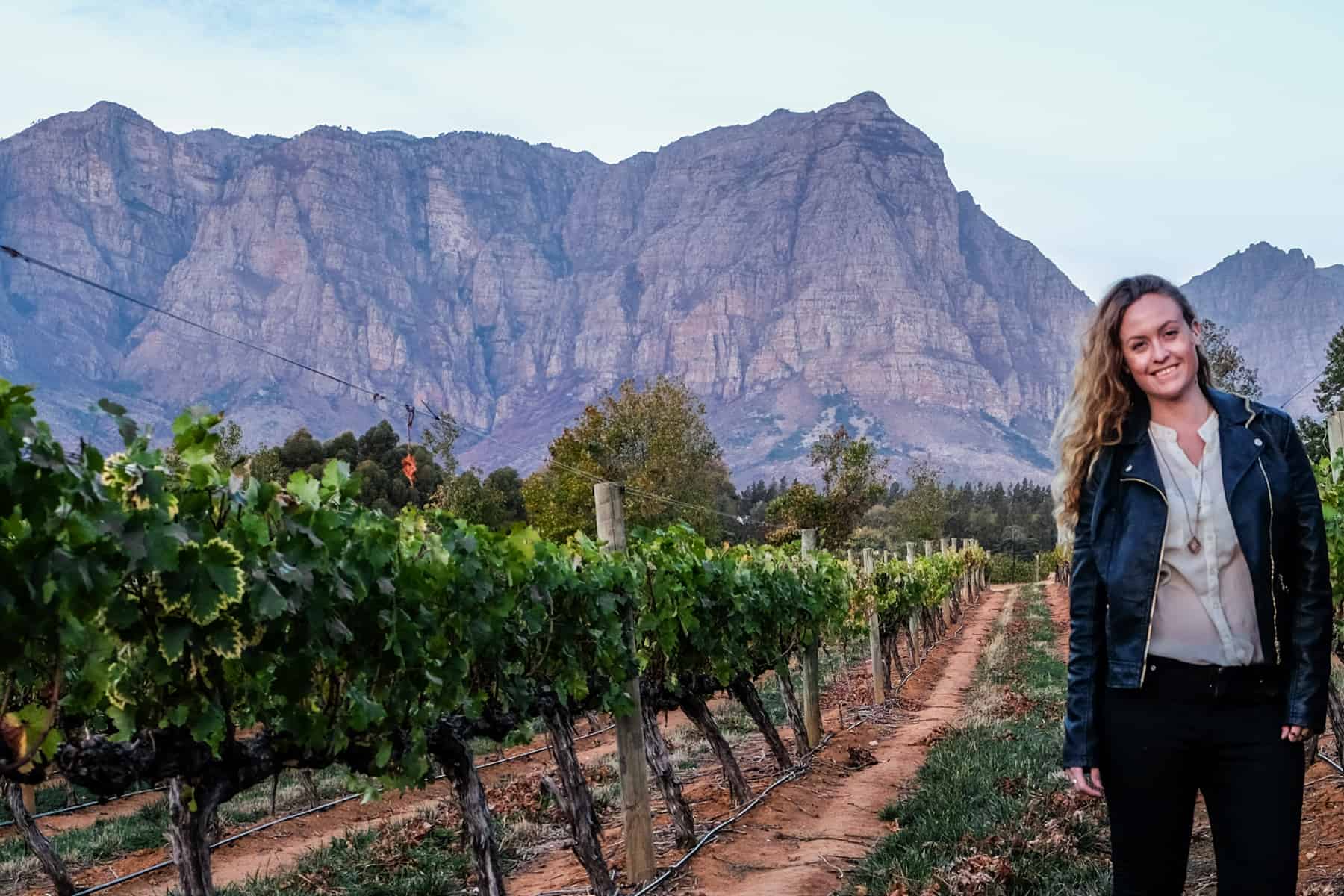 A woman wearing black and white looks into the camera as she walks through a blooming vineyard full of green vine rows, orange dirt tracks and a mountainous backdrop. She is visiting the Delaire Graff Estate in Stellenbosch 