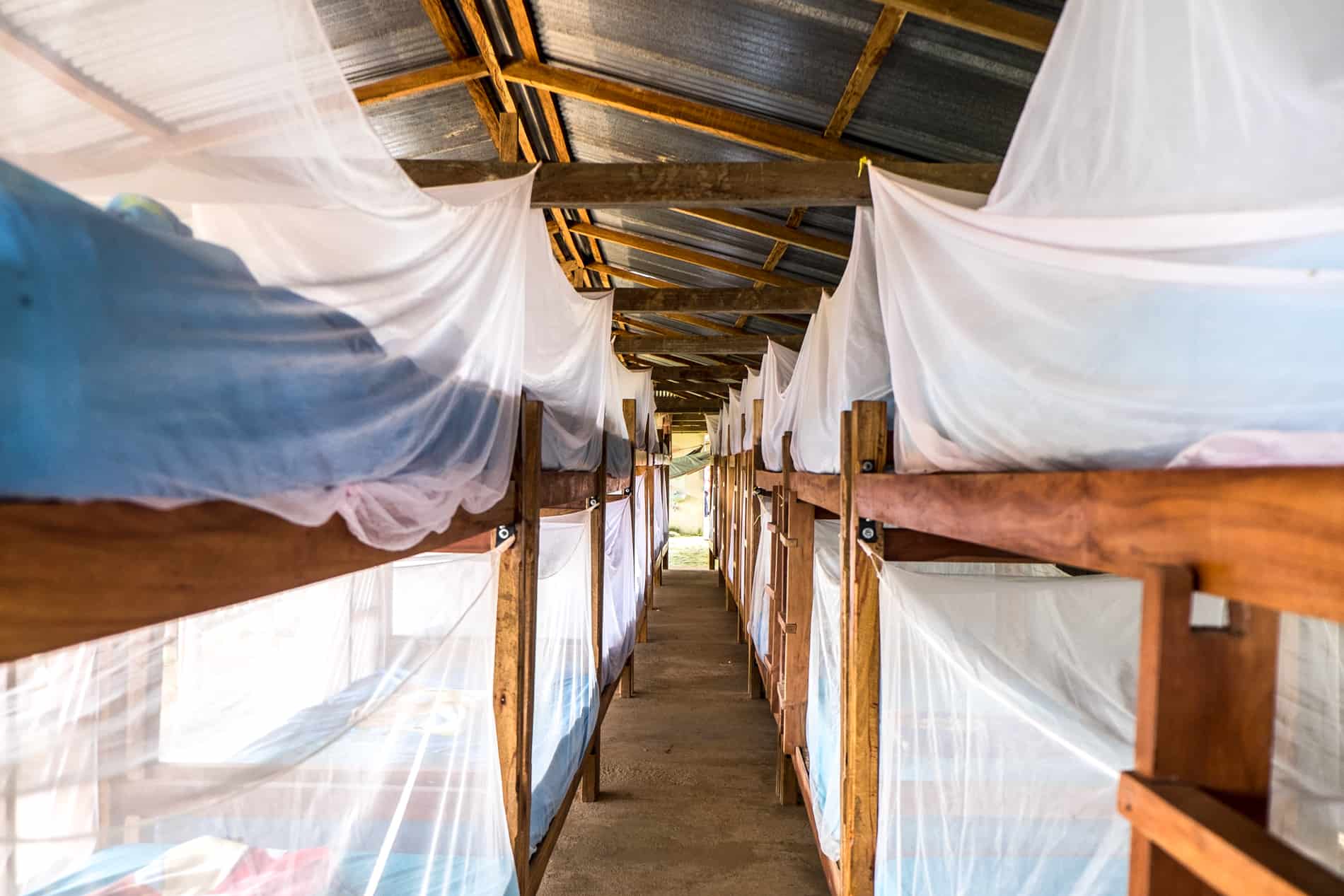 Wooden bunk beds with white mosquito nets at a Lost City trek camp. 