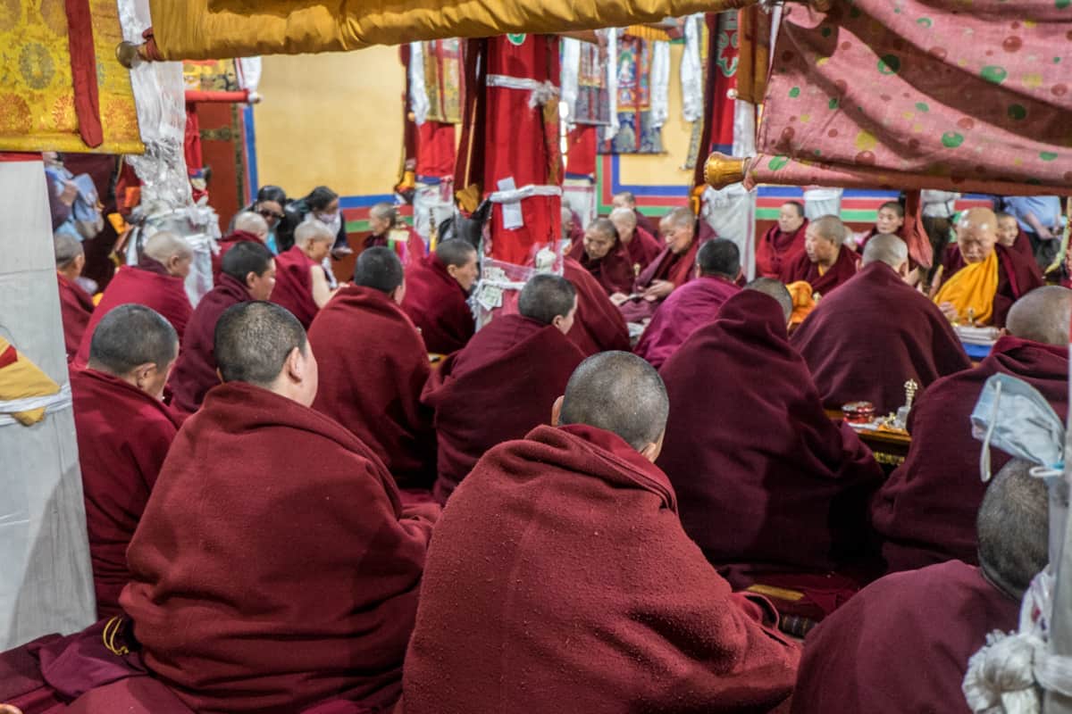 Tibetan Nuns in their red robes during their morning chant in the Ani Tsankhung Nunnery in Lhasa