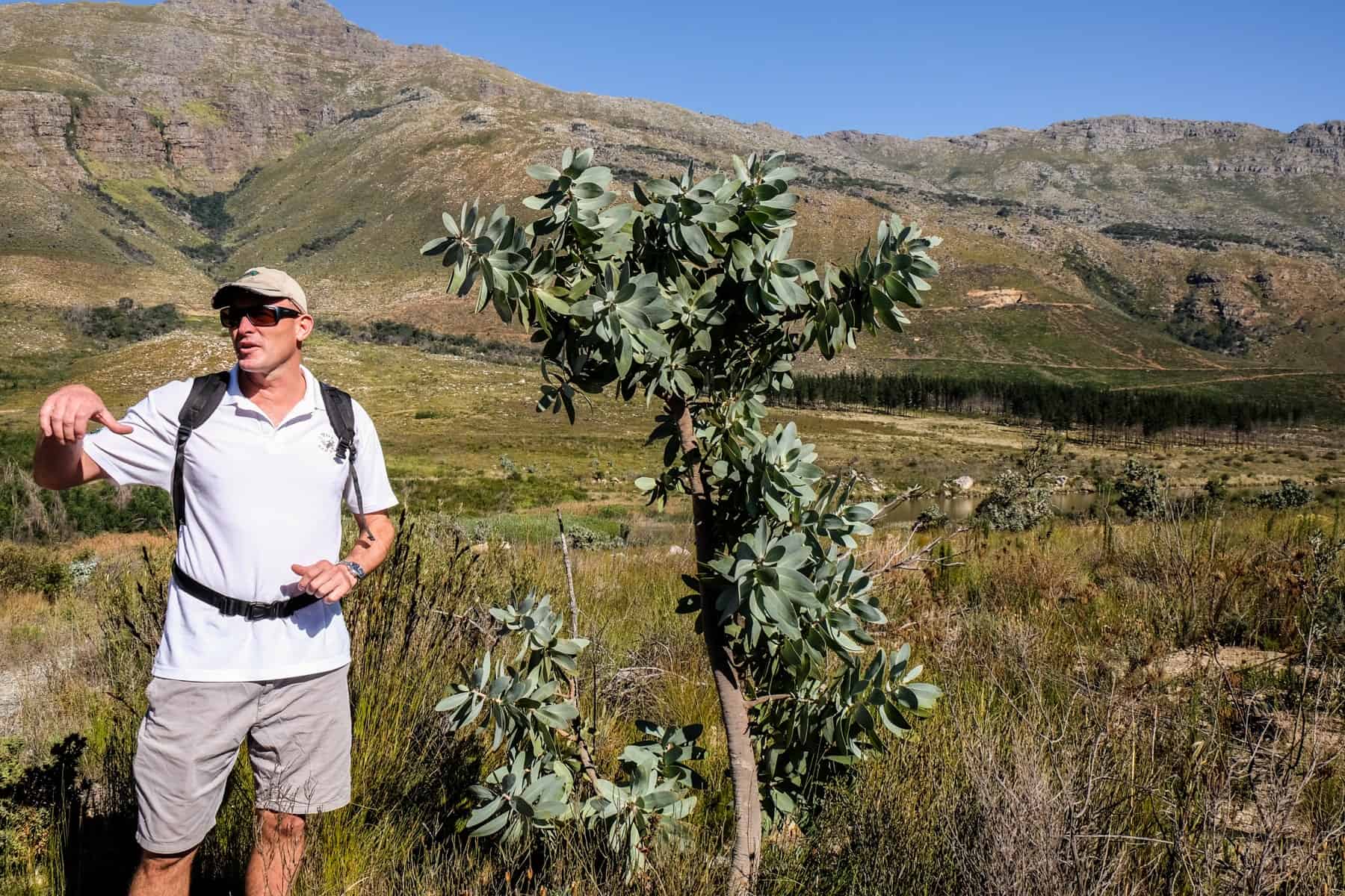 A man in white stands next to a green plant that is around the the same height as him, in the middle of a flat yellow grassland area backed by brown hills.